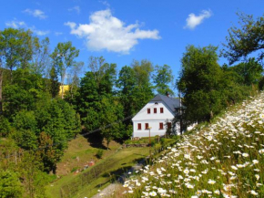 Apartmán stará pekárna - Krkonoše, Poniklá